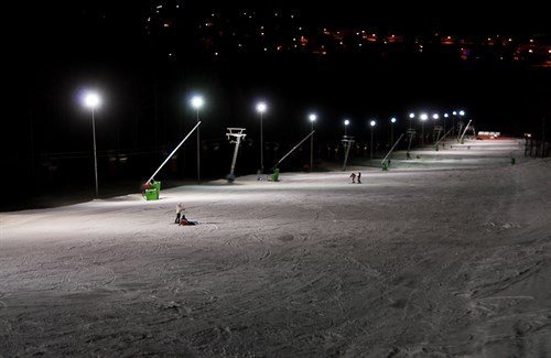 Ski1
